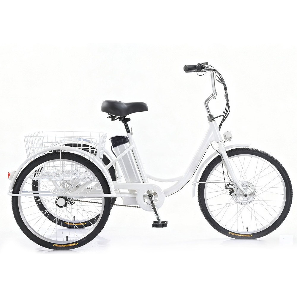 Electric Scooter Adults - 24
