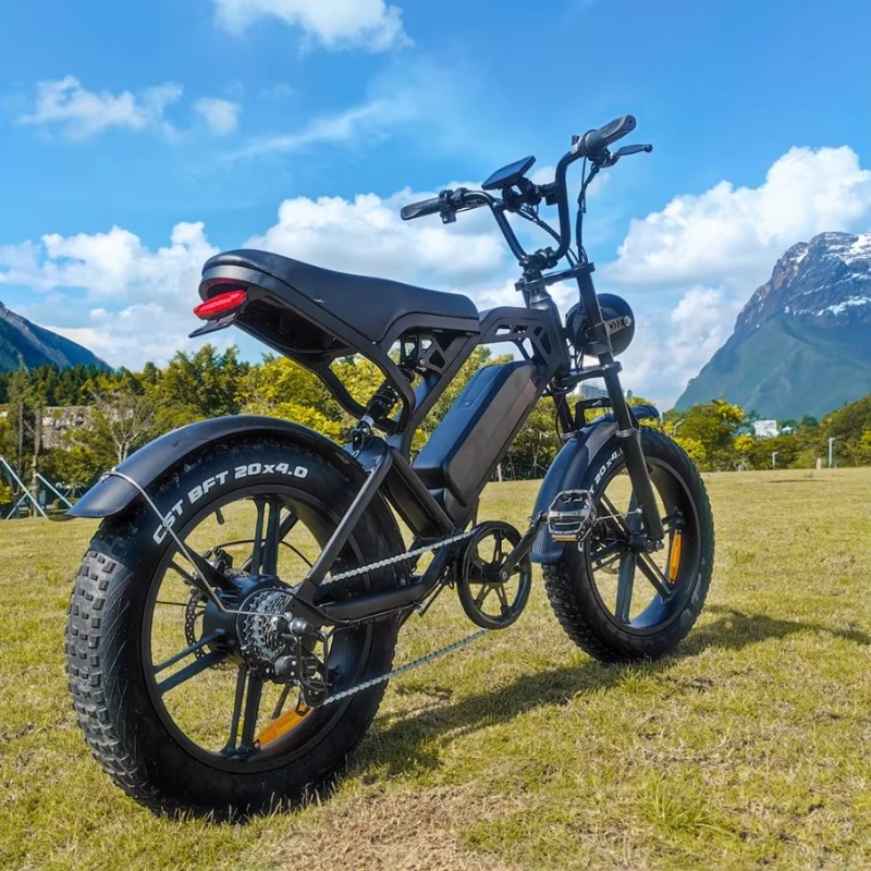 YTYIN 2024 Made In China Facto - Electric Scooter Adults recension och pris
