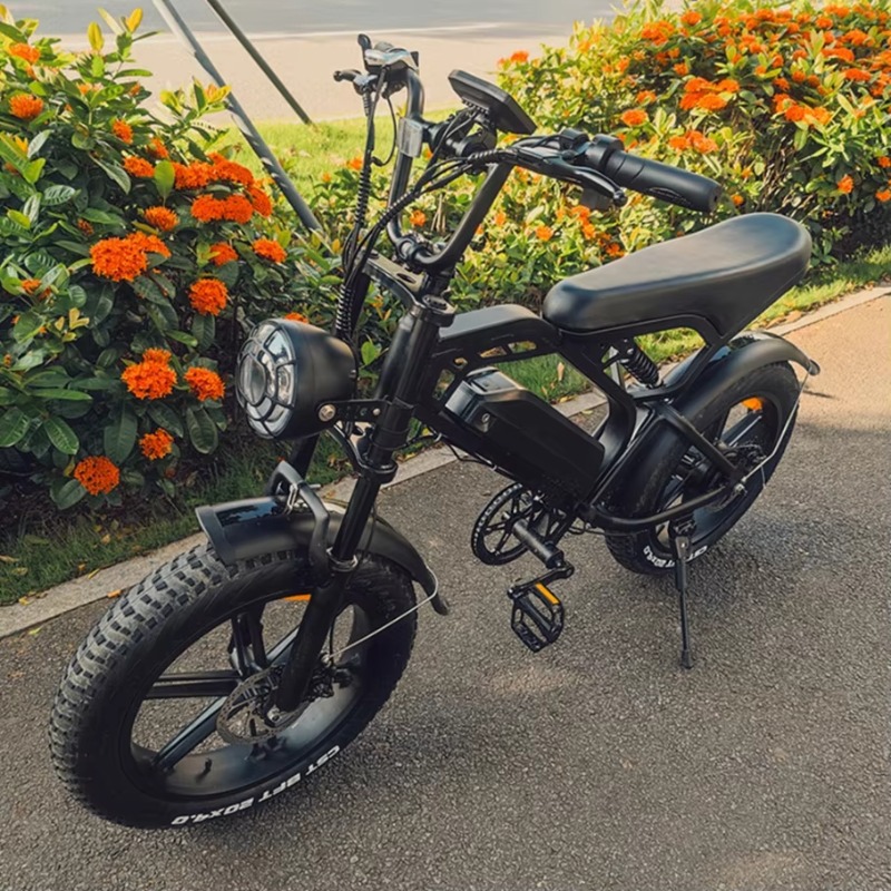 YTYIN 2024 Made In China Facto - Electric Scooter Adults recension och pris