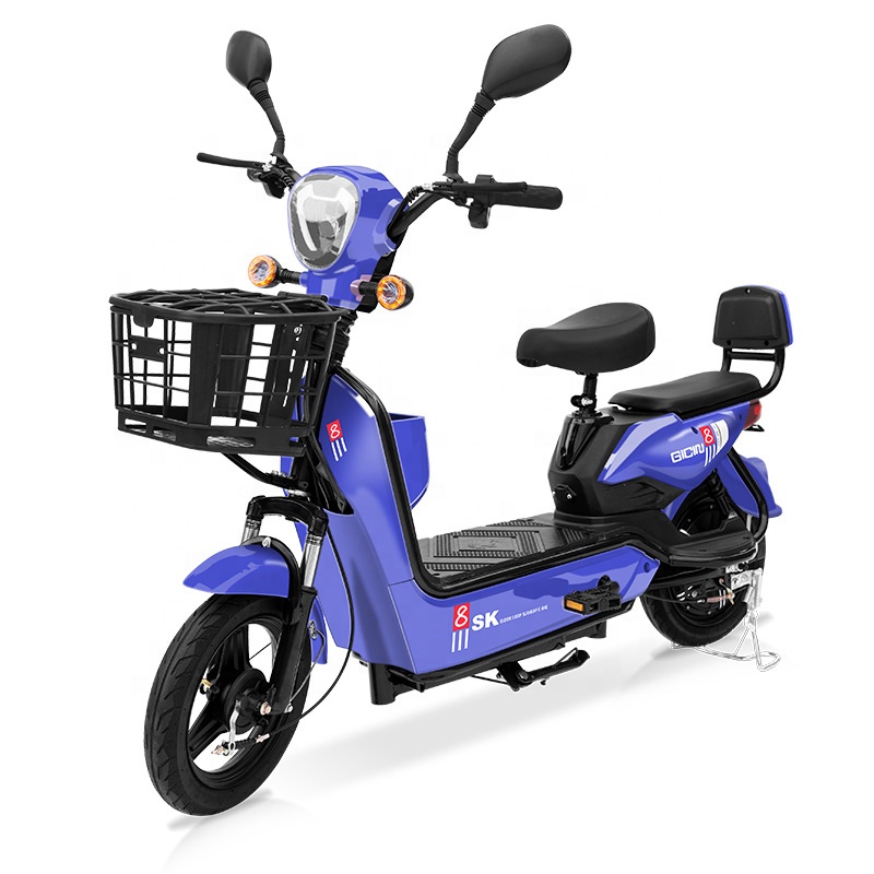 YTYIN 350W Electric City Bike  - Folding Electric Scooter recension och pris